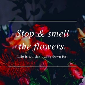 Welcome to my closet!